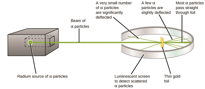 This figure shows a box on the left that contains a radium source of alpha particles which generates a beam of alpha particles. The beam travels through an opening within a ring-shaped luminescent screen which is used to detect scattered alpha particles. A piece of thin gold foil is at the center of the ring formed by the screen. When the beam encounters the gold foil, most of the alpha particles pass straight through it and hit the luminescent screen directly behind the foil. Some of the alpha particles are slightly deflected by the foil and hit the luminescent screen off to the side of the foil. Some alpha particles are significantly deflected and bounce back to hit the front of the screen.