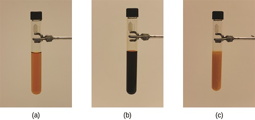 Three capped test tubes held vertically in clamps are shown in pictures labeled, “a,” “b,” and “c.” The test tube in picture a is half filled with a clear, orange liquid. The test tube in picture b is half filled with a dark, burgundy liquid. The test tube in picture c is half filled with a slightly cloudy, orange liquid.