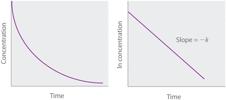 Kinetics 4.5.1_first order.jpg