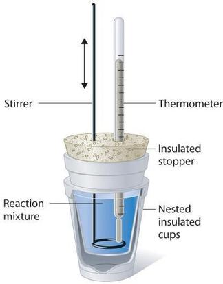 This image of a constant-pressure calorimeter consists of two Styrofoam cups nested and sealed with an insulated stopper to thermally isolate the system which is the solution in the inner cup. The cups are sealed by a stopper with two holes in it one of which has a thermometer in it to measure the temperature of the solution and the other hole has a stirrer to mix the reaction.