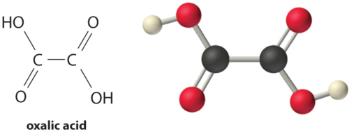 Bond line drawing and molecular structure of oxalic acid.