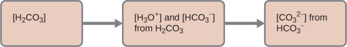 Four tan rectangles are shown that are connected with right pointing arrows. The first is labeled “left bracket H subscript 2 C O subscript 3 right bracket.” The second is labeled “left bracket H subscript 3 O superscript plus right bracket and left bracket H C O subscript 3 superscript negative right bracket from H subscript 2 C O subscript 3.” The third is labeled “left bracket C O subscript 3 superscript 2 negative right bracket from H C O subscript 3 superscript negative.”