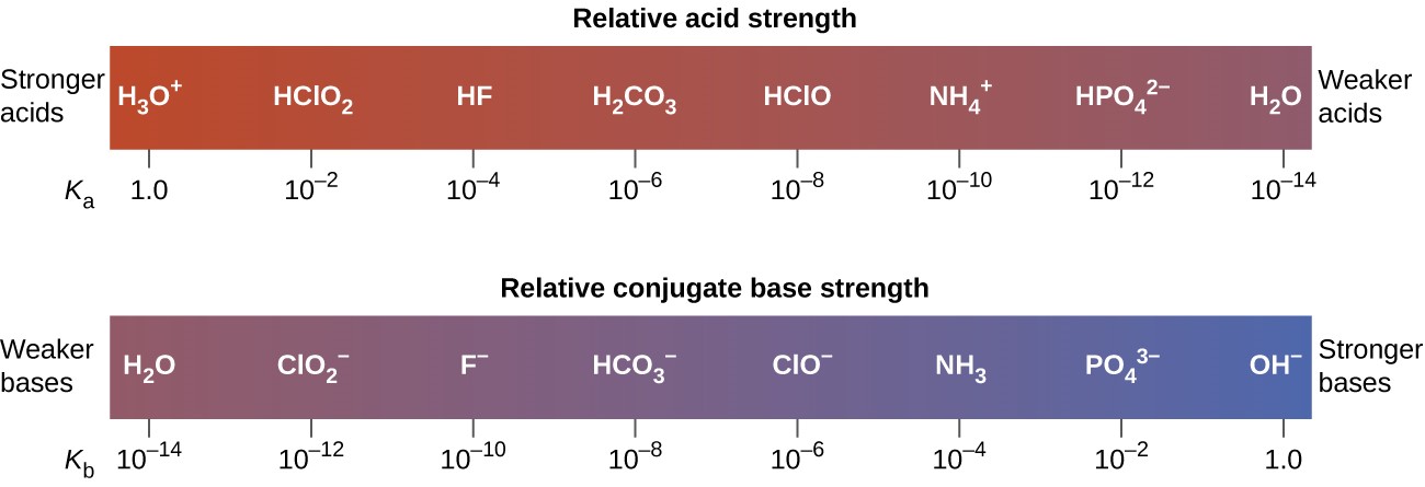 Relative strengths of several conjugate acid-base pairs are shown.